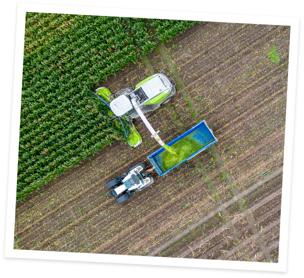 334_DJI_0923_14