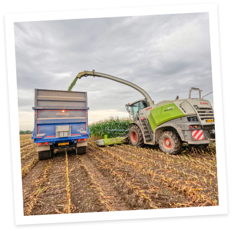 Experts In Our Field