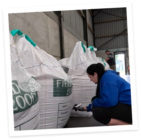 Sowing The Seeds Of Success