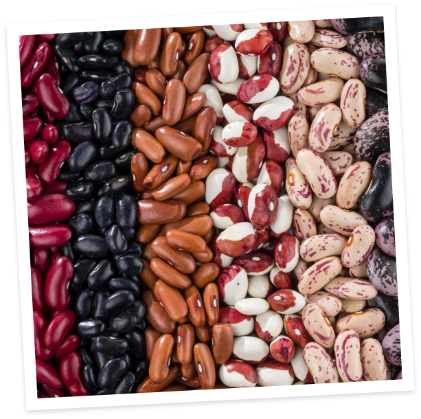 pulses