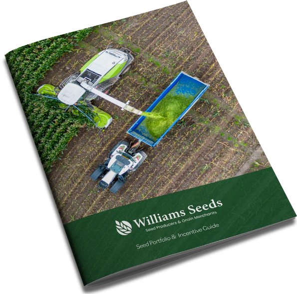 seed-porfolio-brochure